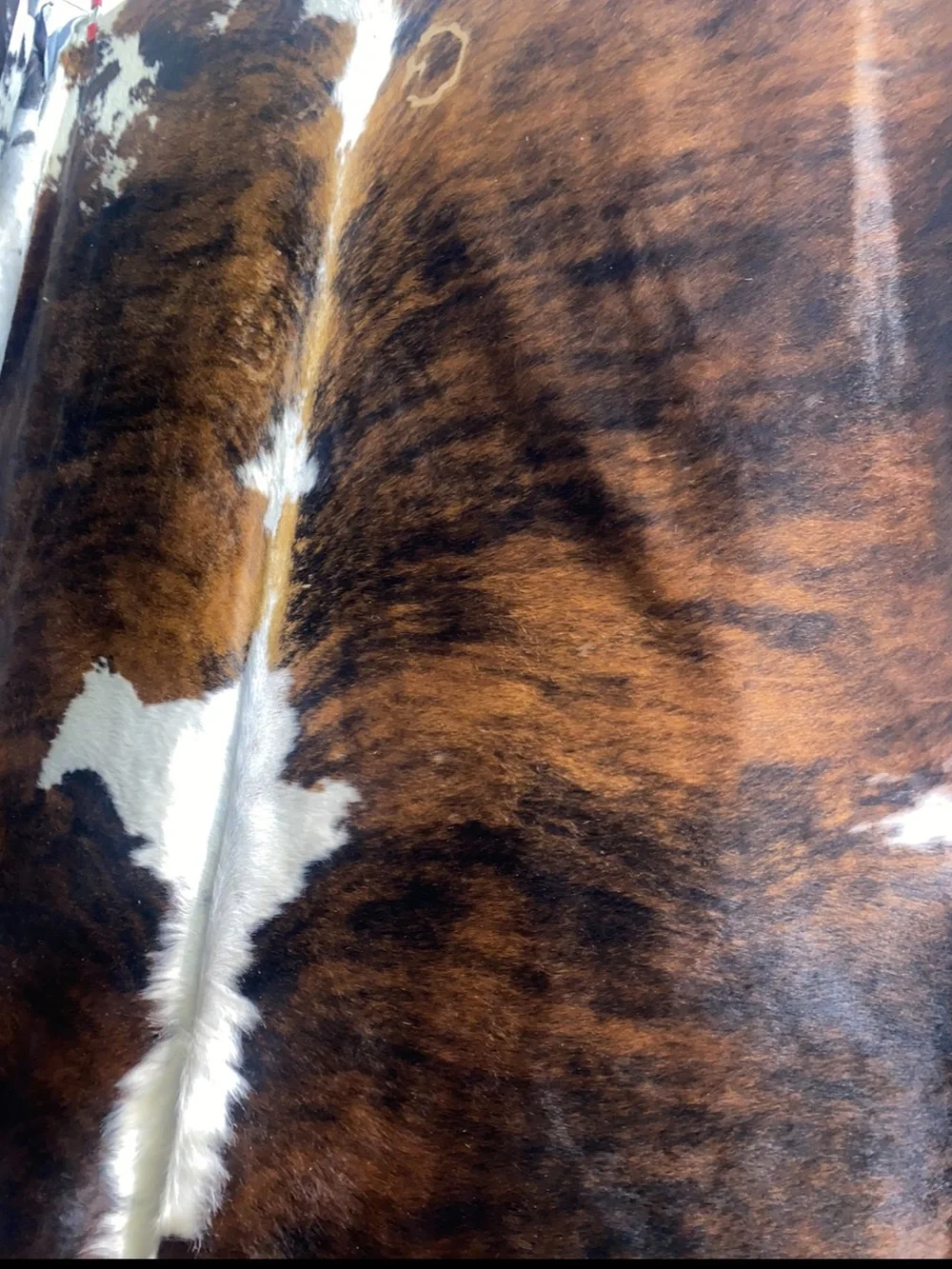 Cowhide rugs